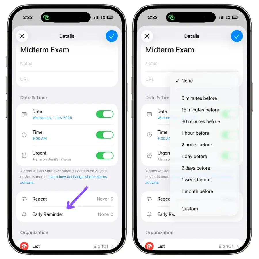 Screenshot showing the Early Reminder settings in Apple Reminders