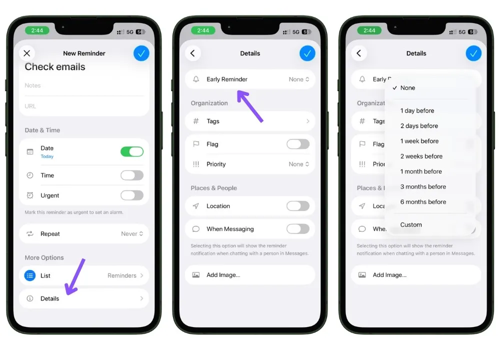 Screenshot showing the Early Reminder option in an Apple Reminders task's details screen