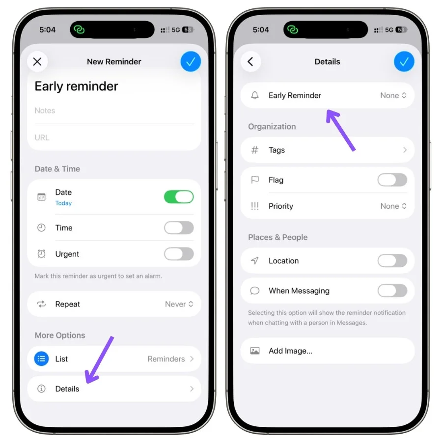 Apple Reminders Details screen showing the Early Reminder option