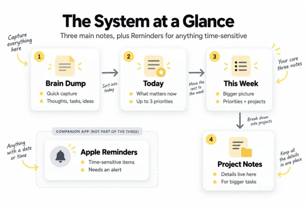 Diagram showing an ADHD-friendly Apple Notes planning system using Brain Dump, Today, This Week, Project Notes, and Apple Reminders.
